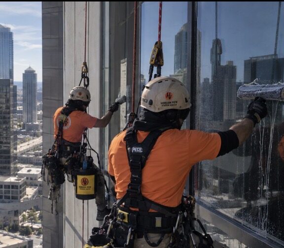 Horizon View specialist wearing safety harness gently brushing residential solar panels